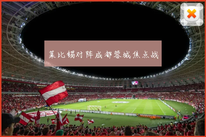 莱比锡对阵成都蓉城焦点战