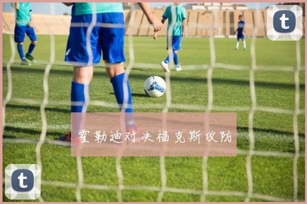 霍勒迪对决福克斯攻防