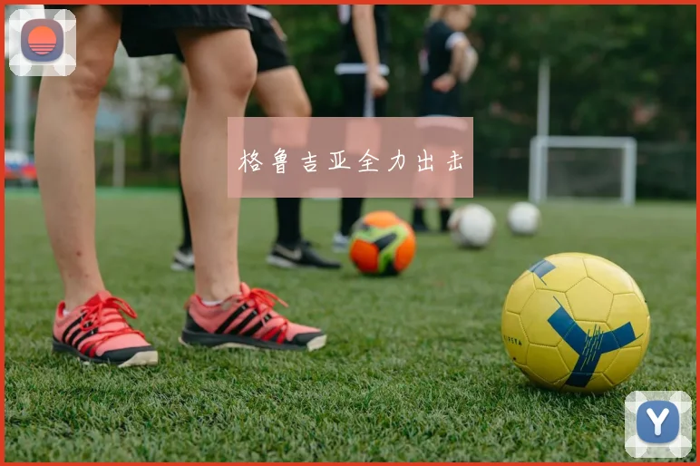 格鲁吉亚全力出击