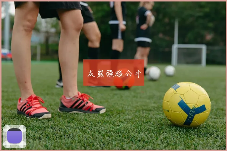 灰熊强碰公牛