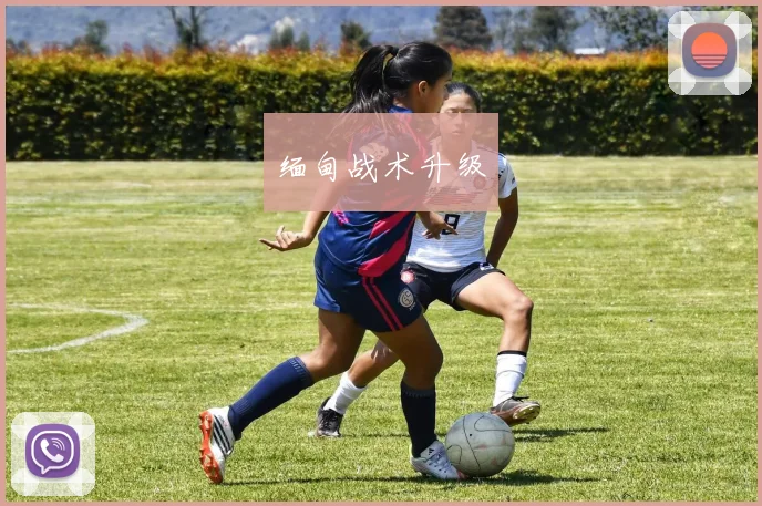 缅甸战术升级