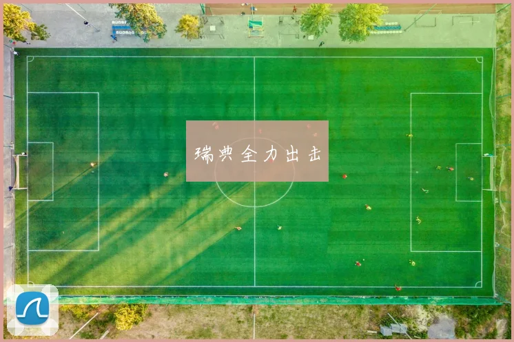 瑞典全力出击