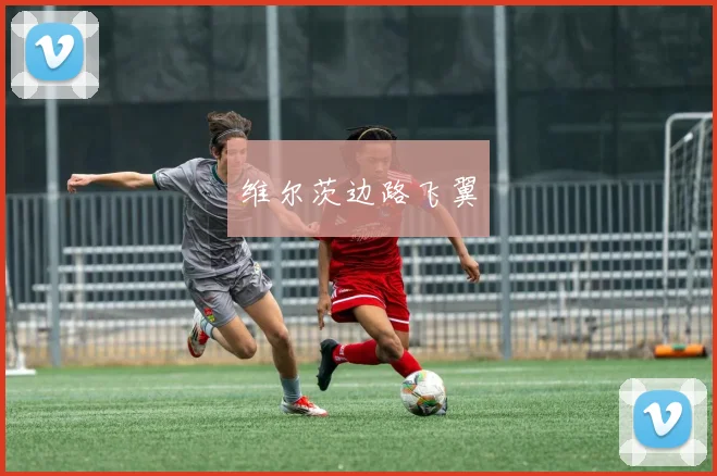 维尔茨边路飞翼