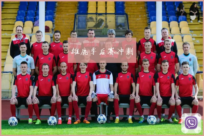 雄鹿季后赛冲刺