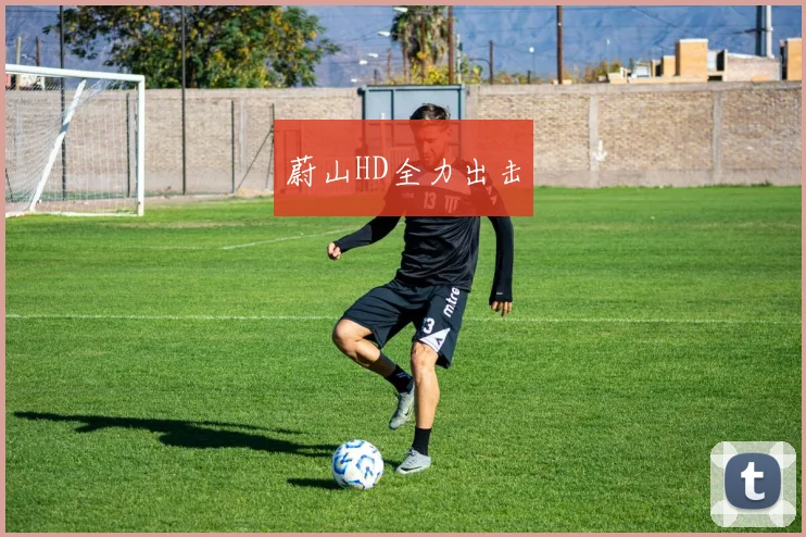 蔚山HD全力出击
