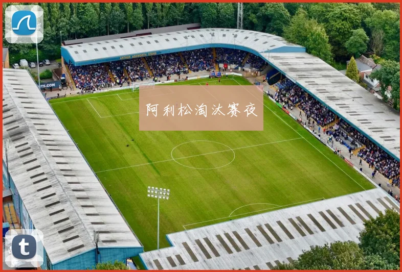 阿利松淘汰赛夜