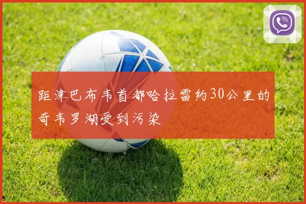 距津巴布韦首都哈拉雷约30公里的奇韦罗湖受到污染