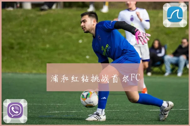 浦和红钻挑战首尔FC