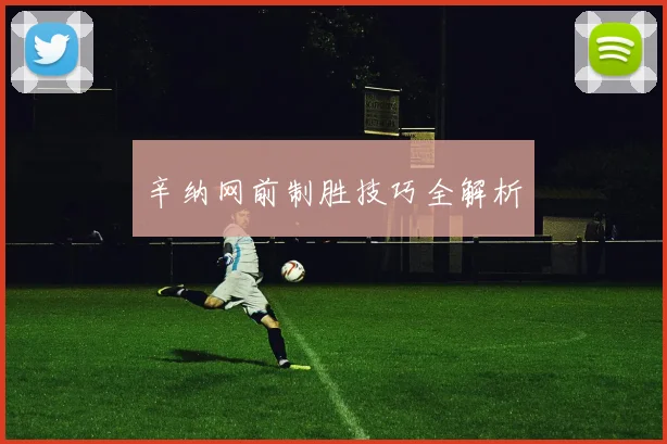 辛纳网前制胜技巧全解析