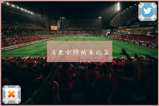 马里会师纳米比亚