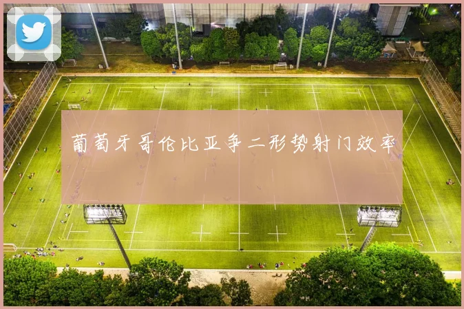 葡萄牙哥伦比亚争二形势射门效率
