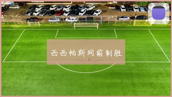 西西帕斯网前制胜
