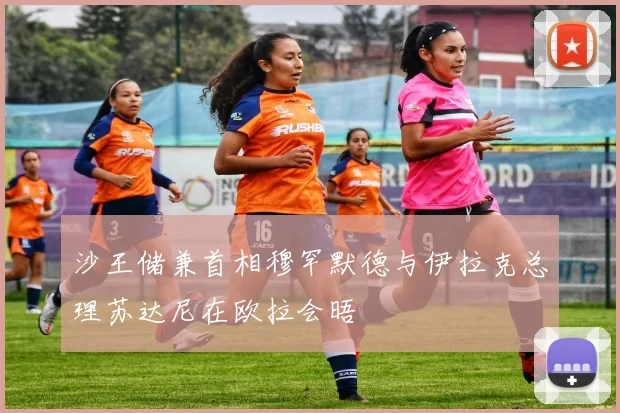 沙王储兼首相穆罕默德与伊拉克总理苏达尼在欧拉会晤