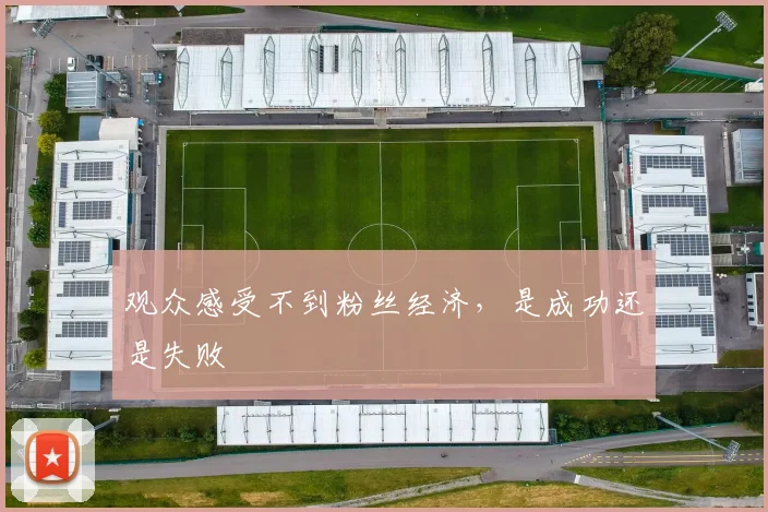 观众感受不到粉丝经济，是成功还是失败