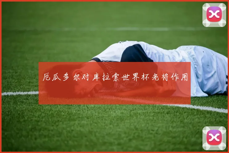 厄瓜多尔对库拉索世界杯老将作用