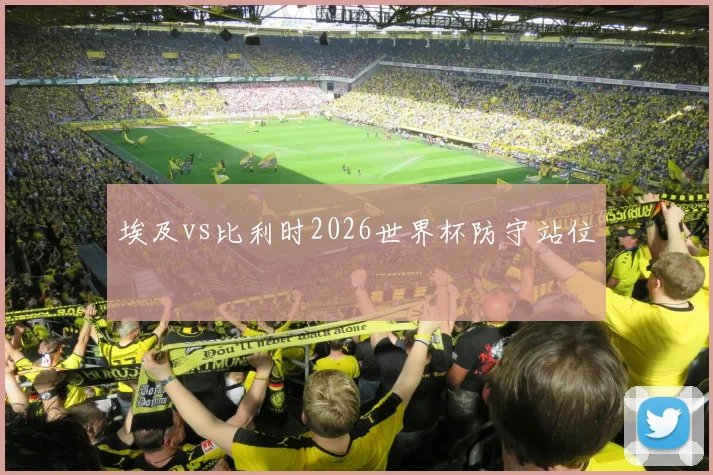 埃及vs比利时2026世界杯防守站位