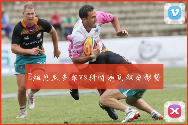 E组厄瓜多尔vs科特迪瓦积分形势