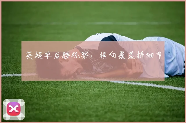 英超单后腰观察，横向覆盖拼细节